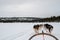 Sleigh ride on frozen lake