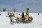 Sleighing in Pyrohiv during winter holiday