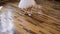 Slender ballet dancers` feet in white ballet shoes practices ballet dance on the wood floor. Young ballerina in white