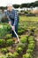 Slender female gardener with rake