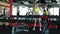 Slender girl training with dumbbells in gym