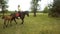 Slender lady rides horses on the grass near the foal