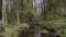 Slender man leaning on wooden twig, carefully descends into water in boots.