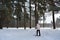 Slender rows of trees alleys in the spruce and pine winter forest