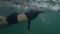 A slender woman in black swimming suit swims in a calm transparent sea.