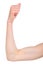 Slender woman showing her biceps. White background