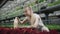 Slender young Caucasian woman pouring water on plants in glasshouse. Portrait of charming blond female agronomist taking