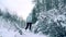 Slender young woman in grey jacket walking in a beautiful snowy winter forest slow motion shot, cold colors