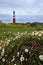 Slettnes Lighthouse and flowers