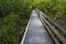 The Slew Walkway Beside Gator Lake, Six Mile Cypress Slough