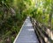 The Slew Walkway Beside Gator Lake, Six Mile Cypress Slough, Nature Preserve