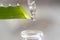 A slice of an aloe vera leaf with a dripping drop of juice and a pipette of liquid, the drops fall into a glass bottle