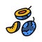 slice blue plum fruit color icon vector illustration