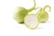 Slice bottle gourd fruit isolated