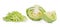 Slice cabbage on white background