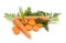 Slice fresh carrots