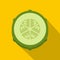 Slice of fresh cucumber icon, flat style