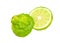 Slice of fresh kaffir lime or bergamot isolated on white background with clipping path
