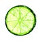 Slice of fresh lime on white background