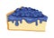 Slice of juicy Blueberry Cheesecake with blue icing icon vector