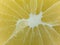 a slice of juicy fresh yellow aromatic bergamot very close in detail close-up macro. fruit background. pattern. citrus.