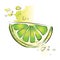 Slice of juicy green lime. Vector illustration, on white.