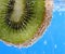 Slice of kiwi fruit in water with bubbles and blue background