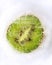 Slice of kiwi in ice with air bubbles. Vertical poster. Concept of shock freezing, frozen food. Preservation of summer vitamins.