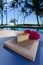 Slice of lilikoi cheesecake on a beautiful Hawaiian day