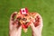 A slice of pizza in female hands with Canadian flag in the form of a toothpick. Lunch on the green grass. Canada.