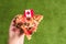 A slice of pizza in female hands with Canadian flag in the form of a toothpick. Lunch on the green grass. Canada. Concept.