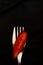 Slice red tomato on a fork isolated on black background. Vertical photo