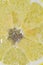 Slice of ripe lemon in water. Close-up of lemon in liquid with bubbles. Slice of ripe citron in sparkling water. Macro