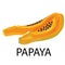 Slice ripe papaya illustration isolated on the white background