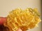 Slice of tasty Golden honeycombs with leaking sticky sweet honey
