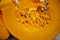 Slice of tasty and healthy vegetable-orange pumpkin close-up