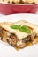 Slice of Vegetarian Lasagna