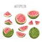 Slice and whole striped red and pink watermelon set with black seeds, sketch style, vector illustration isolated on