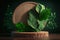 Slice wood minimalist product showcase podium design and green leaves. Flawless