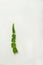 Sliced aloe vera in gel with oxygen. Skincare and healthcare concept, anti-aging serums, moisturizing gels