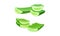 Sliced aloe vera green plant set. Organic natural cosmetic product vector illustration