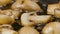 Sliced champignon mushrooms are fried in a hot pan in close up. Golden slices of champignons are fried in olive oil