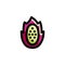 Sliced Dragon Fruit Icon