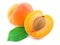 Sliced fresh apricots with a vibrant leaf on white