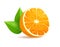 Sliced in Half Orange with Leaves Realistic Vector