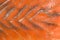 Sliced hunchback salmon background