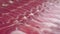 Sliced Iberian jamon in extreme close-up