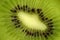 Sliced kiwi fruit bottom