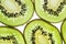 Sliced kiwifruit rings on white background top view macro