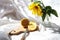 Sliced lemon on a wooden Board with a knife and a sunflower bouquet on a white background, side view, sun rays and shadows from